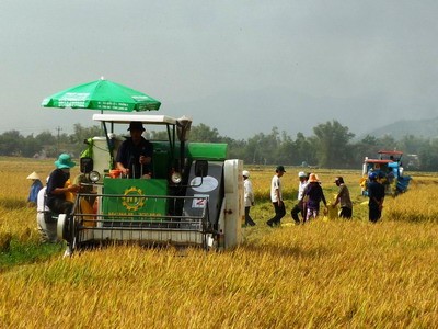 ស្រុក Hiep Hoa ខេត្ត Bac Giang៖កសាងជនបទថ្មីពីការស្រុះចិត្តគំនិតពីប្រជាជន - ảnh 2